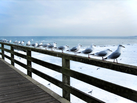 Ostseebad Boltenhagen/9679140