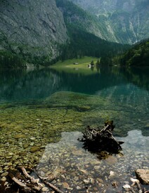 Alm am Obersee/9731960