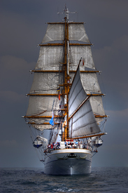 Gorch Fock/9779766