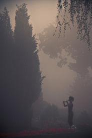 Friedhof Statue im Nebel/9818762