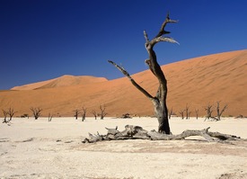 Deadvlei/9824668