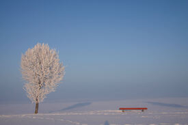 Schneebank/9911796