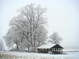 Landidylle im Winter/9921474