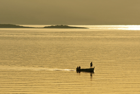 Fishermans Friends/9922724