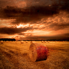 Golden times (Das Bett im Kornfeld und sein verhängnisvolles Ende!)/9945917