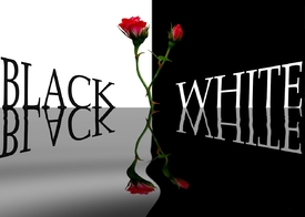 Black and White/9987197