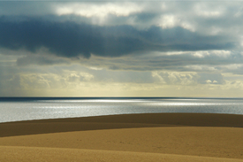 Fuerteventura, Dünen von Corralejo/10003967