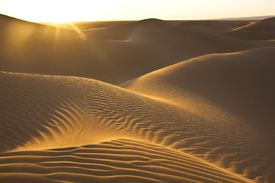 Sahara Sanddünen/10006005