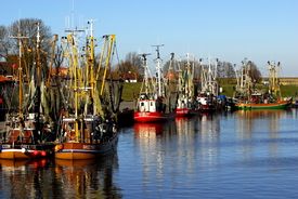 Hafen von Greetsiel/10026313