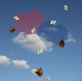 Schmetterlingsgefühle/10034911