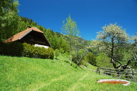 Der Frühling ist da../10051423