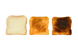 3x Toast/10055553