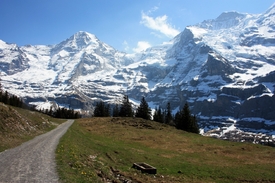 Jungfrau-Marathon-Weg/10201281