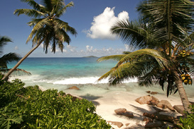  Traumstrand Anse Patates auf der Insel La Digue/10202159