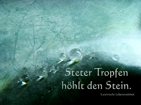 Steter Tropfen /10216093