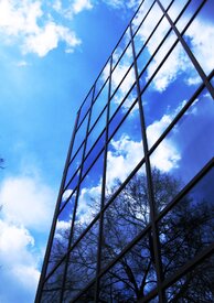 Windows/10229521