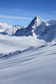 Pulverschnee mit Eiger/10256477