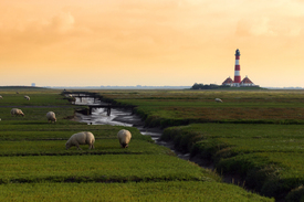 Westerhever Leuchtturm/10285985