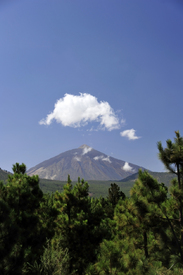 el teide auf teneriffa/10294889