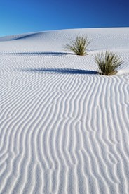 White Dunes/10376025