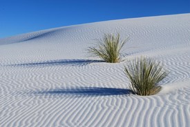 White Sands  /10385439