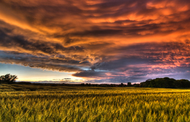 nach dem Gewitter/10435597