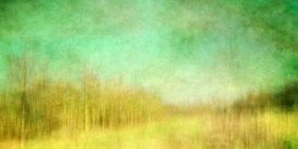 landscape abstract /10446660