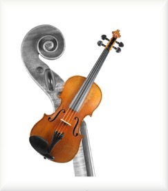 Violine/10462338