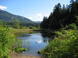 Am Weiher/10550733