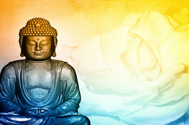 Buddha/10568968