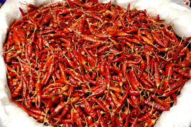 Red Chilli/10605938