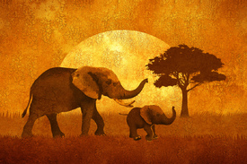 Elefanten Afrika 2 ohne Schrift/10608170
