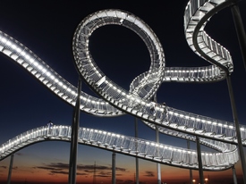 Tiger & Turtle/10616748