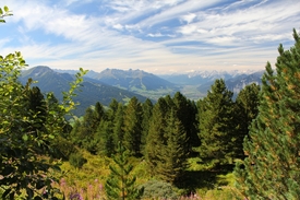 Die letzten schönen Sommertage/10636882