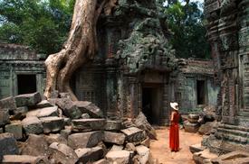 Gigantische Wurzeln im Ta Prom Tempel, Kambodscha/10641526