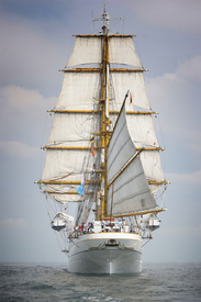 Gorch Fock/10642318