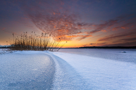Sunset/10649354