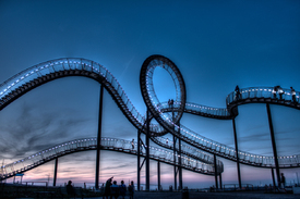 Tiger and Turtle/10655190