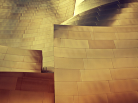 Walt Disney Concert Hall/10664074