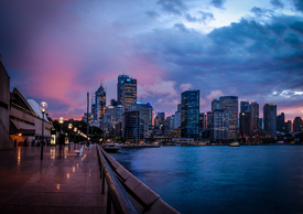 View from Sydney Opera/10668196