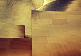 Walt Disney Concert Hall/10674072