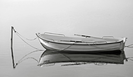 white boat/10736041