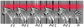 Barcode Zebras /10755049