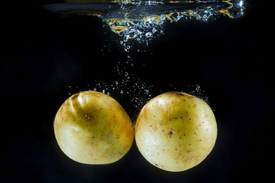 Kartoffeln unter Wasser/10758101