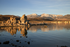 Mono Lake/10773307