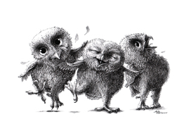 Drei verrückte Eulen - Three Crazy Owls/10789967