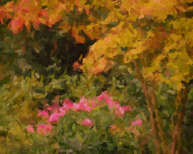 Sommergarten/10792533