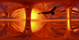 Phoenix/10831335