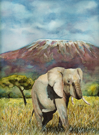 Kilimanjaro elephant/10840687