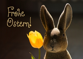Frohe Ostern/10888122